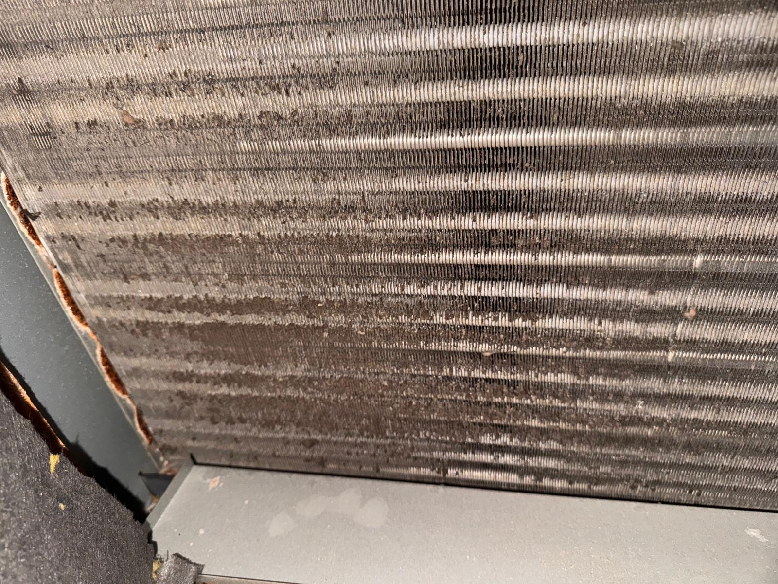 Commercial HVAC Coil Cleaning Guide: Improve Efficiency by 30%